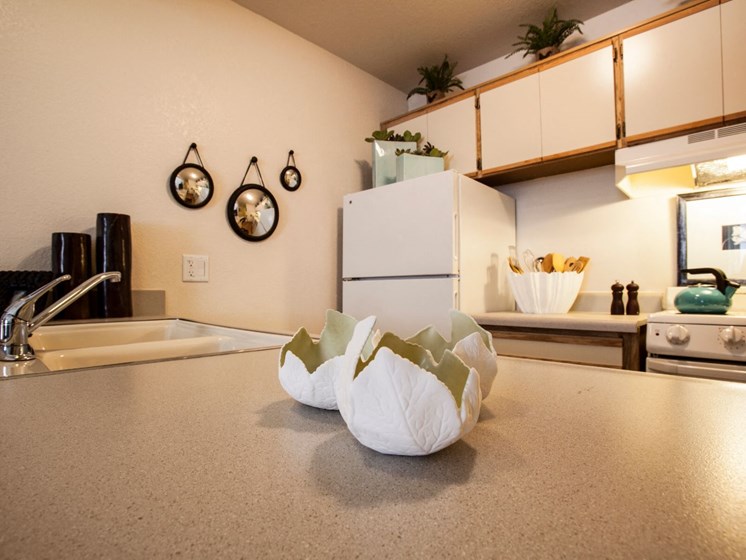 Kitchen (Model) at Cinnamon Tree Apartments in Albuquerque, MN